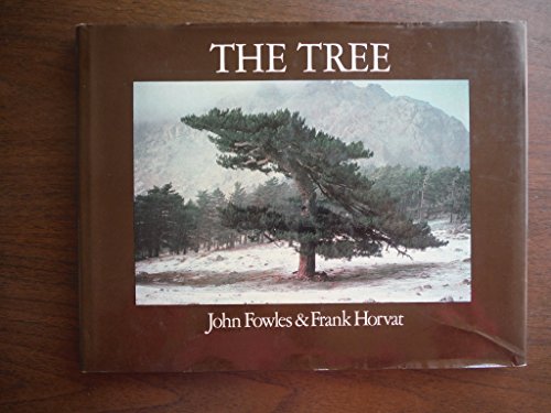 Beispielbild fr The Tree zum Verkauf von Wonder Book