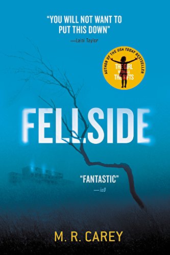 Beispielbild fr Fellside zum Verkauf von SecondSale