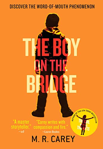 9780316300346: The Boy on the Bridge