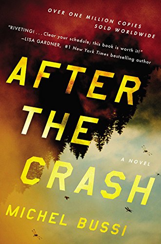 Beispielbild fr After the Crash : A Novel zum Verkauf von Better World Books