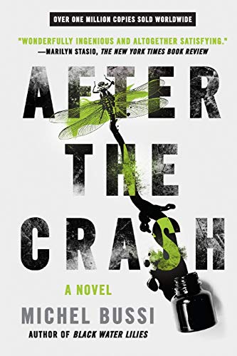 Imagen de archivo de After the Crash: A Novel a la venta por Goodwill