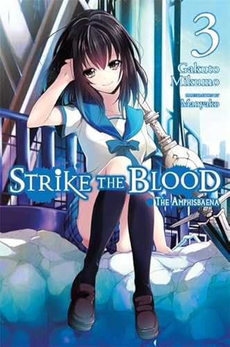 Strike the Blood  Light Novel 