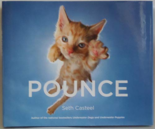 Imagen de archivo de Pounce a la venta por Orion Tech