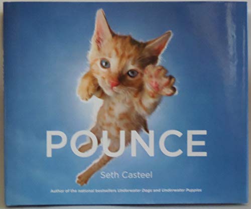 Stock image for Pounce for sale by Orion Tech