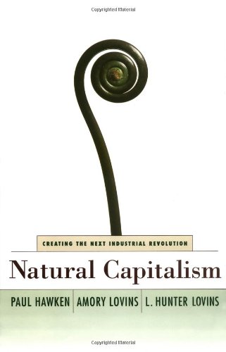 9780316353168: Natural Capitalism: Creating the Next Industrial Revolution