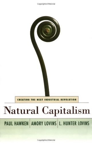 Imagen de archivo de Natural Capitalism: Creating the Next Industrial Revolution a la venta por ThriftBooks-Atlanta