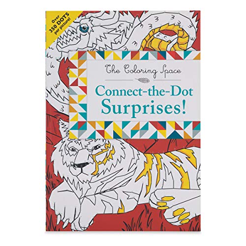 9780316359597: Connect-The-Dot Surprises! (The Coloring Space)
