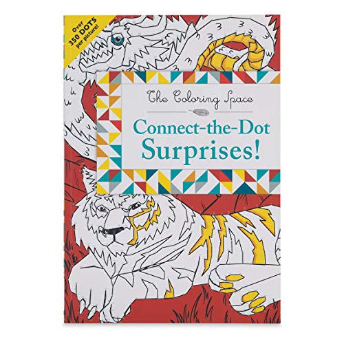 9780316359597: Connect-the-Dot Surprises! (The Coloring Space)