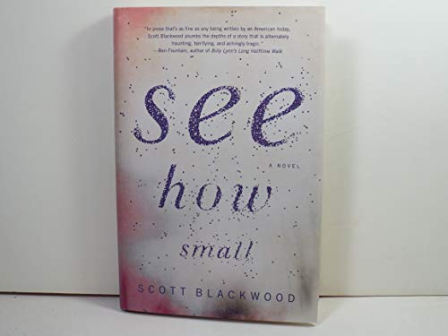 Beispielbild fr See How Small : A Novel zum Verkauf von Better World Books