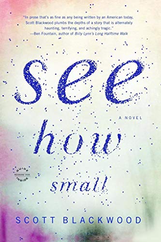 Beispielbild fr See How Small: A Novel zum Verkauf von BooksRun