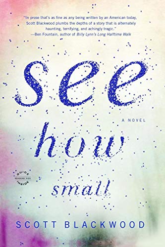 9780316373944: See How Small: A Novel