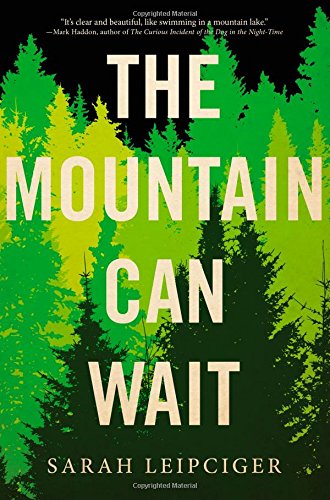 9780316380676: The Mountain Can Wait