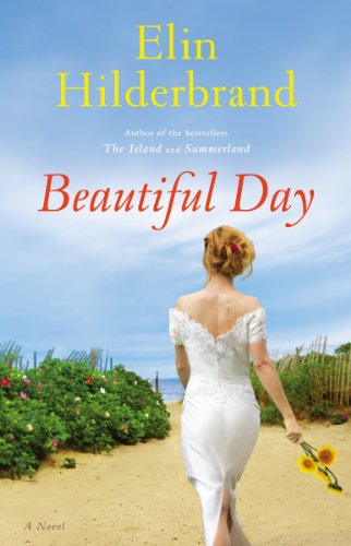 9780316401104: Beautiful Day: A Novel