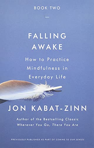 Beispielbild fr Falling Awake : How to Practice Mindfulness in Everyday Life zum Verkauf von Better World Books