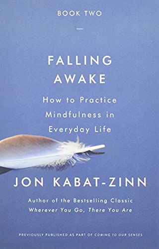 Stock image for Falling Awake: How to Practice Mindfulness in Everyday Life for sale by Orion Tech