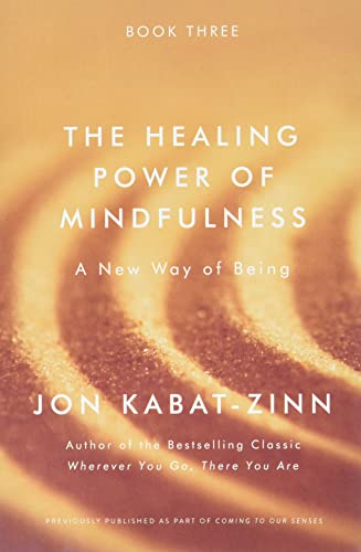 9780316411769: The Healing Power of Mindfulness 3: A New Way of Being