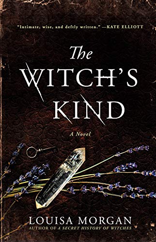 Beispielbild fr The Witch's Kind : A Novel zum Verkauf von Better World Books