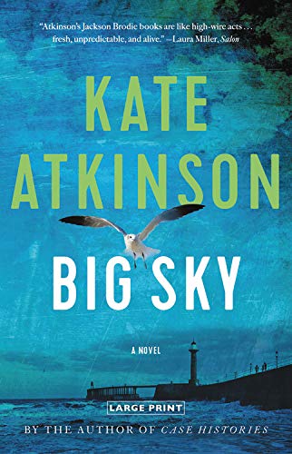 Stock image for Big Sky for sale by Better World Books