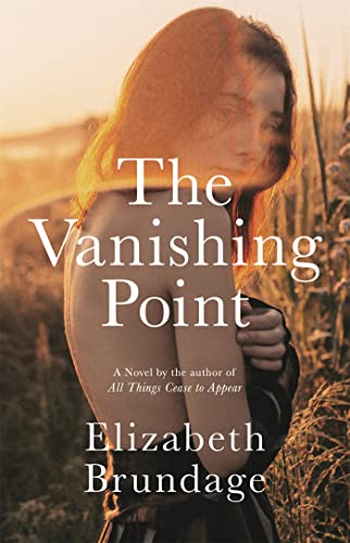 Imagen de archivo de The Vanishing Point: A Novel a la venta por Orion Tech