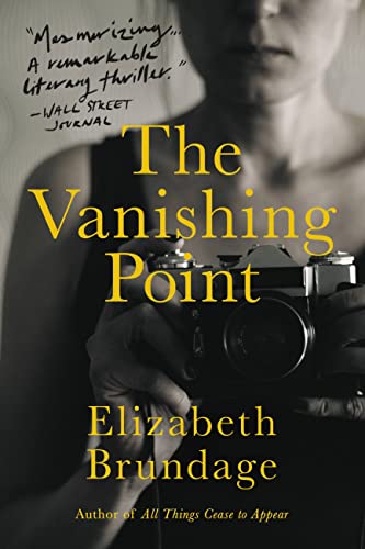 Imagen de archivo de The Vanishing Point : A Novel a la venta por Better World Books: West