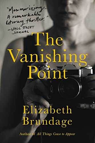 Stock image for The Vanishing Point: A Novel for sale by Bookoutlet1