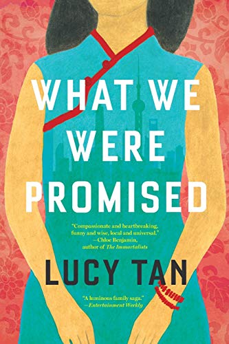 9780316437196: What We Were Promised