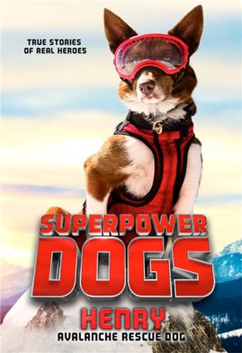 Imagen de archivo de Superpower Dogs: Henry: Avalanche Rescue Dog a la venta por Orion Tech