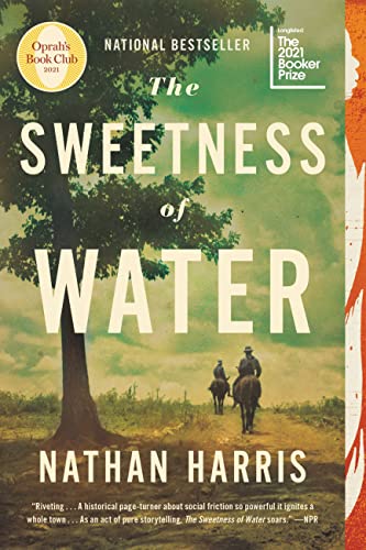 Stock image for The Sweetness of Water (Oprah's Book Club): A Novel for sale by Dream Books Co.