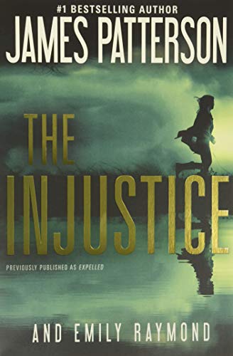 Imagen de archivo de The Injustice (Large Print) a la venta por Top Notch Books
