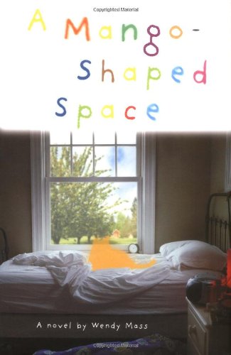 9780316523882: A Mango-Shaped Space: A Novel
