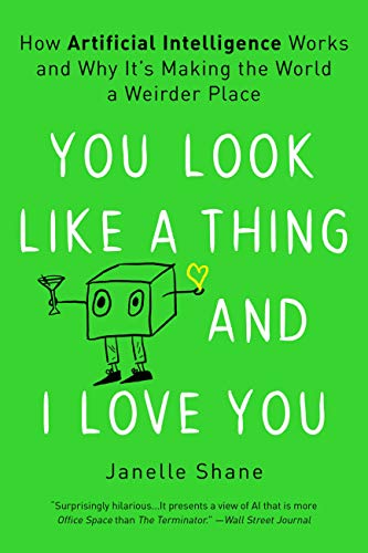 Beispielbild fr You Look Like a Thing and I Love You: How Artificial Intelligence Works and Why It's Making the World a Weirder Place zum Verkauf von BooksRun