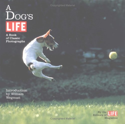 Stock image for A Dog's Life: A Book of Classic Photographs for sale by Gulf Coast Books