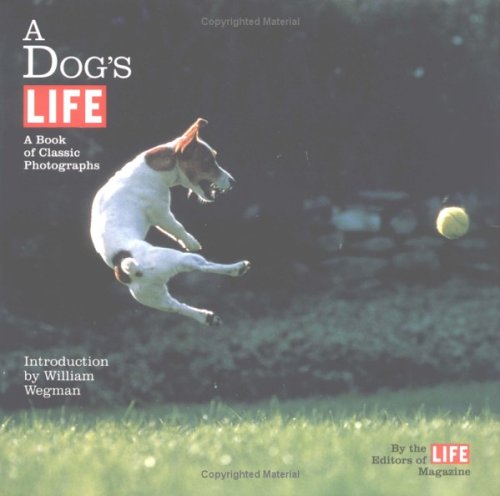 9780316526913: A Dog's Life: A Book of Classic Photographs