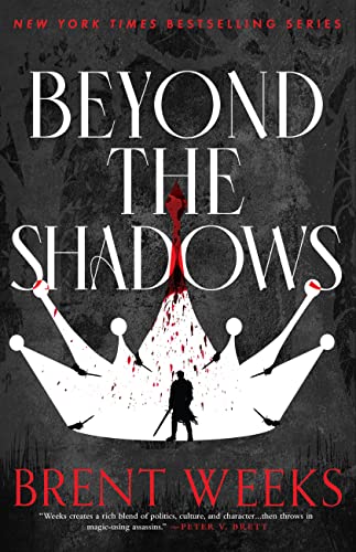 9780316528368: Beyond the Shadows