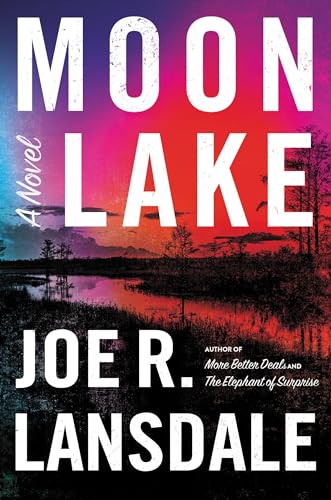 Stock image for Moon Lake for sale by Blackwell's