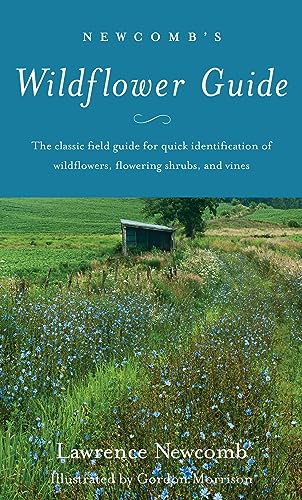 9780316604420: Newcomb's Wildflower Guide: An Ingenious New Key System for Quick, Positive Field Identification of Wildflowers, Flowering Shrubs and Vines