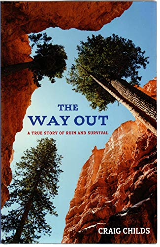 Stock image for The Way Out: A True Story of Survival: A True Story of Ruin and Survival for sale by WorldofBooks