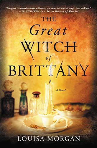 Stock image for The Great Witch of Brittany: A Novel for sale by SecondSale