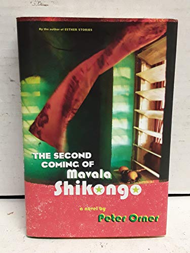 9780316735803: The Second Coming of Mavala Shikongo: A Novel