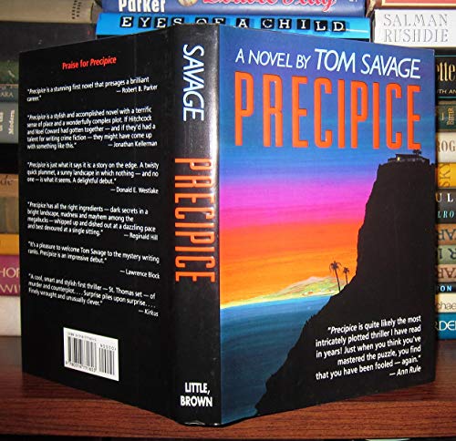 Stock image for Precipice for sale by Wonder Book