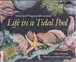 Beispielbild fr Life in a Tidal Pool zum Verkauf von Better World Books