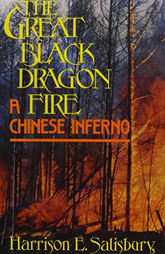 Stock image for The Great Black Dragon Fire: A Chinese Inferno for sale by Priceless Books
