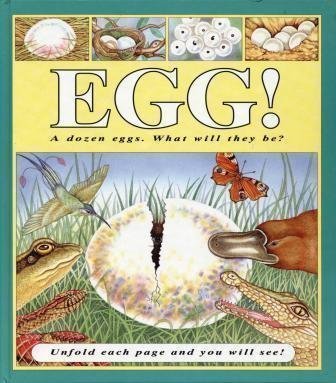 Beispielbild fr Egg! : A Dozen Eggs, What Will They Be? Unfold Each Page and You Will See! zum Verkauf von Better World Books