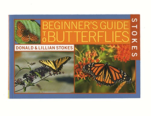 Beispielbild für Stokes Beginner's Guide to Butterflies zum Verkauf von medimops