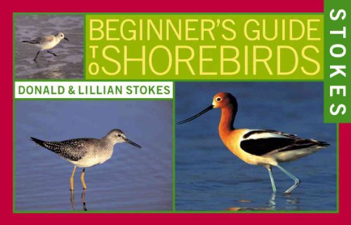 9780316816960: Stokes Beginner's Guide to Shorebirds