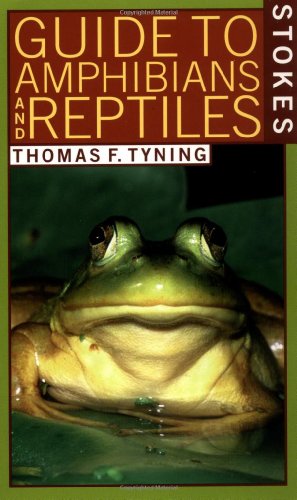 Stock image for A Guide to Amphibians and Reptiles (Stokes Nature Guides) for sale by SecondSale