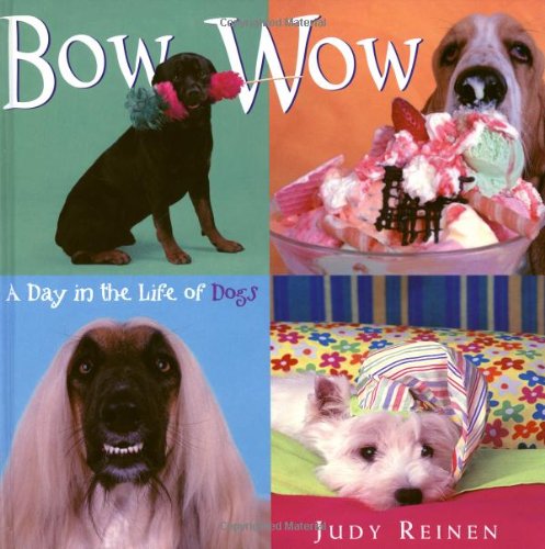 Stock image for Bow Wow: A Day in the Life of Dogs for sale by Wonder Book