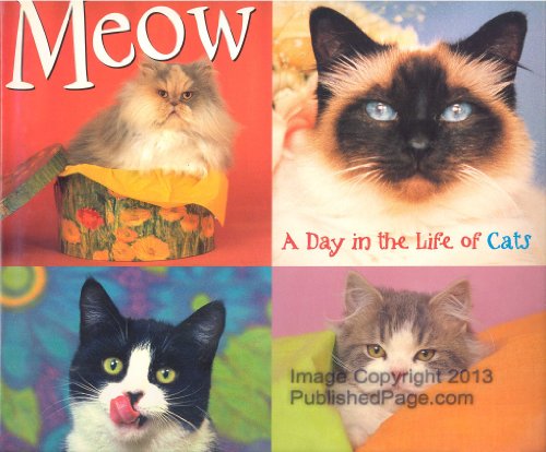 Imagen de archivo de Meow: A Day in the Life of Cats a la venta por ThriftBooks-Dallas