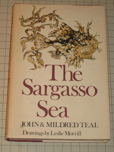 Stock image for The Sargasso Sea for sale by Books Unplugged