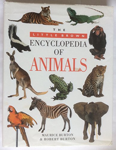 Beispielbild fr The Little Brown Encyclopedia of Animals zum Verkauf von AwesomeBooks